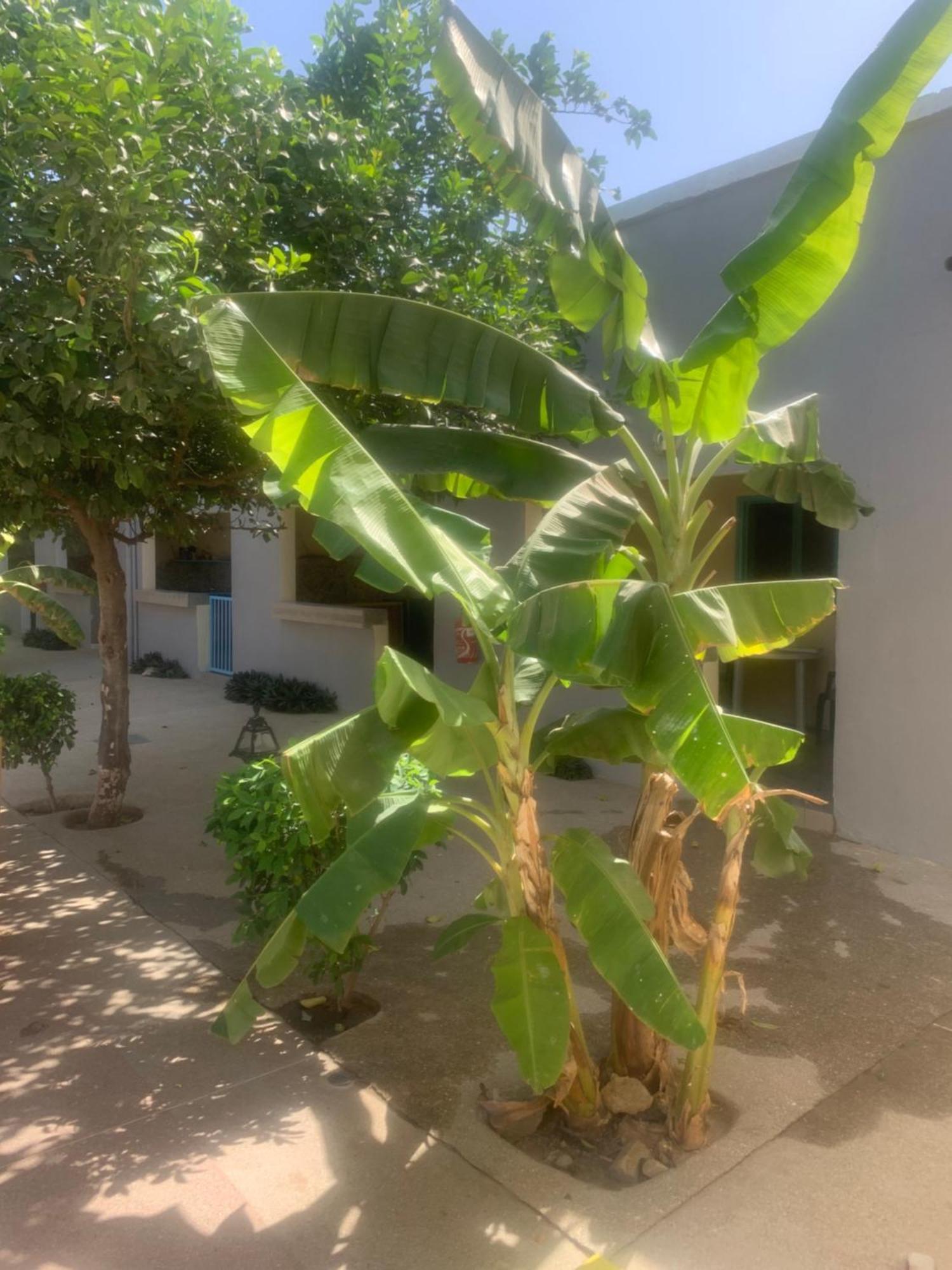 Auberge Keur Ely Ouoran Exterior photo